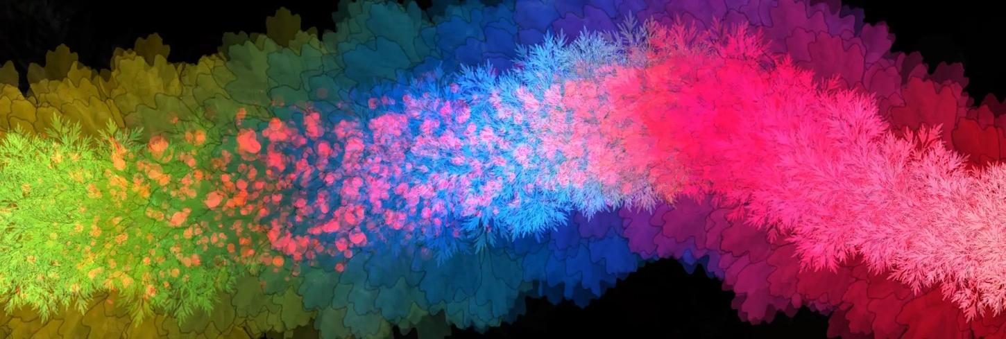 About header image