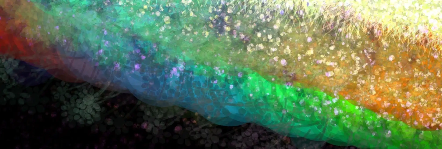 Privacy header image